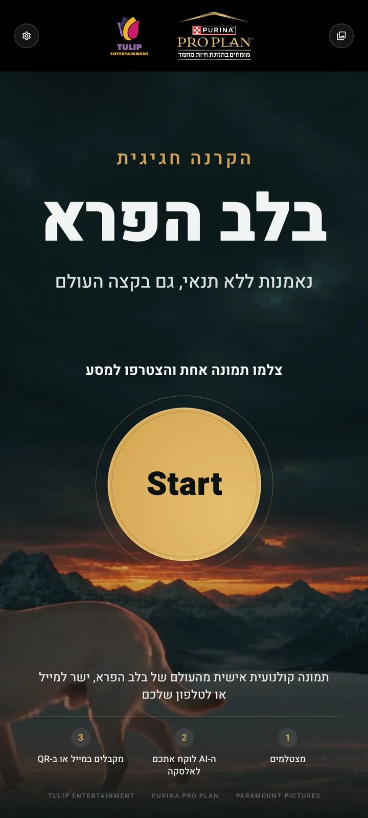 מסך פתיחה
